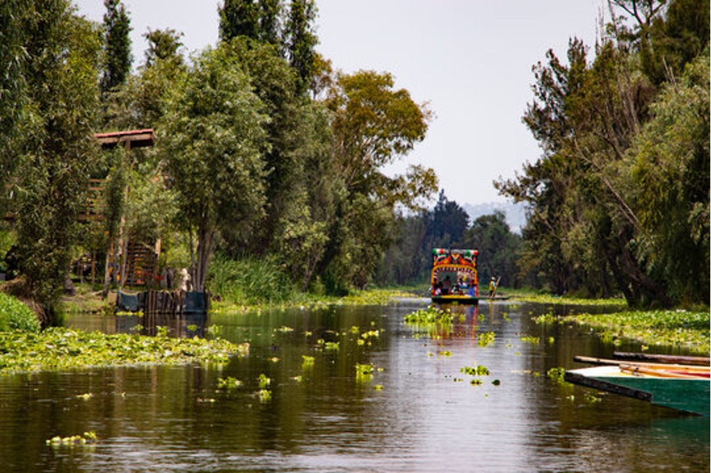 Altar Xochimilco — Reencuentro desde el más allá